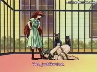 Forced to have sex with anime canines in a cage